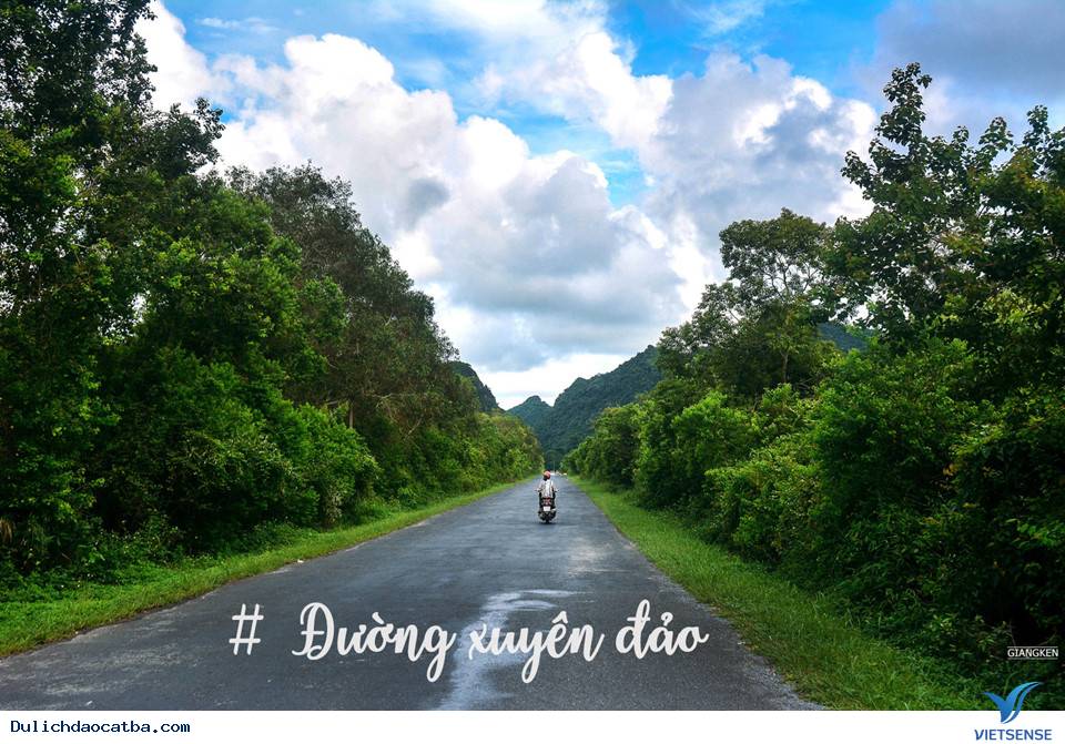 Cuối Tuần Lên Rừng Xuống Biển Ở Cát Bà - Ảnh 3 Cuối Tuần Lên Rừng Xuống Biển Ở Cát Bà - Ảnh 3