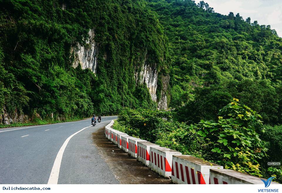 Cuối Tuần Lên Rừng Xuống Biển Ở Cát Bà - Ảnh 4 Cuối Tuần Lên Rừng Xuống Biển Ở Cát Bà - Ảnh 4