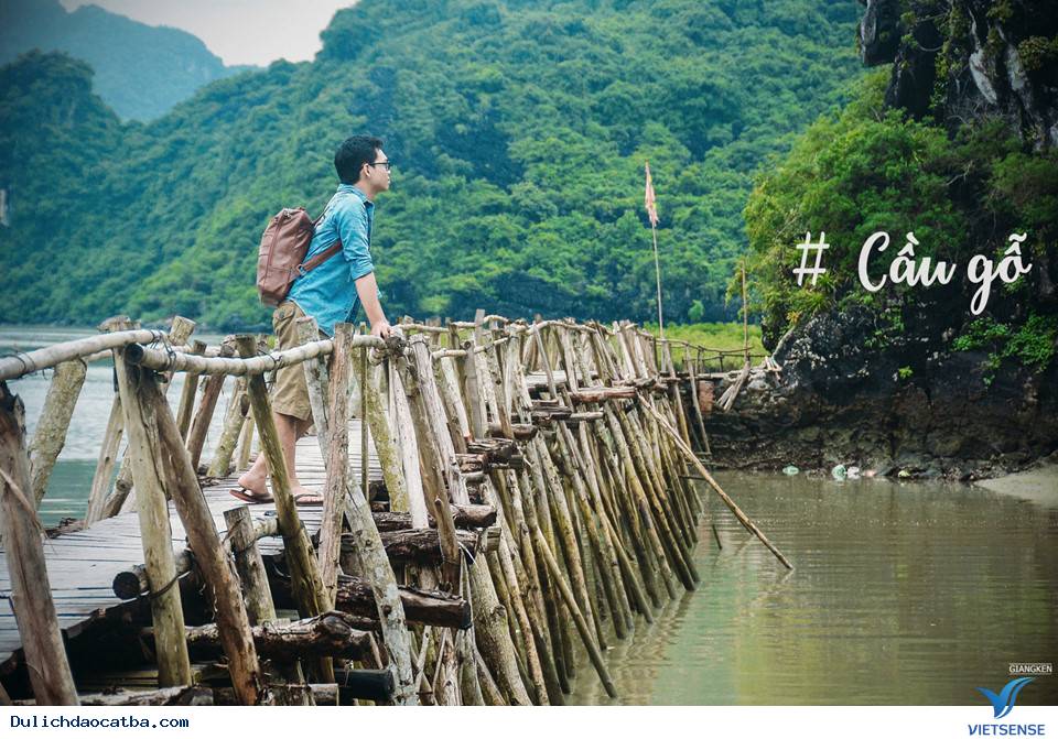 Cuối Tuần Lên Rừng Xuống Biển Ở Cát Bà - Ảnh 16 Cuối Tuần Lên Rừng Xuống Biển Ở Cát Bà - Ảnh 16