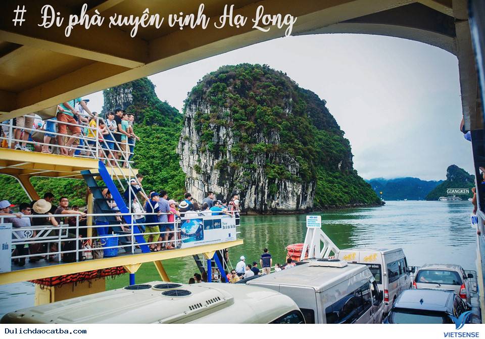 Cuối Tuần Lên Rừng Xuống Biển Ở Cát Bà - Ảnh 2 Cuối Tuần Lên Rừng Xuống Biển Ở Cát Bà - Ảnh 2