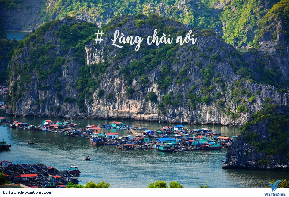 Cuối Tuần Lên Rừng Xuống Biển Ở Cát Bà - Ảnh 11 Cuối Tuần Lên Rừng Xuống Biển Ở Cát Bà - Ảnh 11