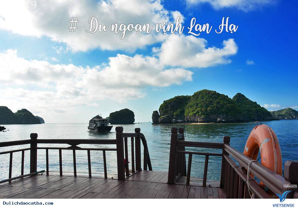Cuối Tuần Lên Rừng Xuống Biển Ở Cát Bà - Ảnh 6 Cuối Tuần Lên Rừng Xuống Biển Ở Cát Bà - Ảnh 6