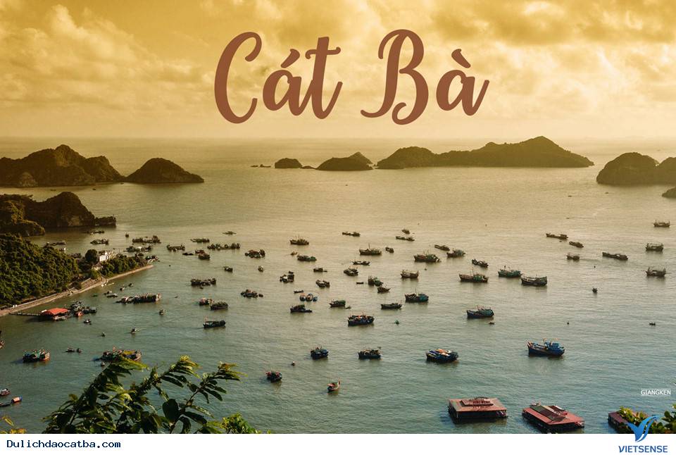 Cuối Tuần Lên Rừng Xuống Biển Ở Cát Bà - Ảnh 1 Cuối Tuần Lên Rừng Xuống Biển Ở Cát Bà - Ảnh 1