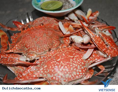 Những Món Ngón Khó Cưỡng Khi Đi Du Lịch Cát Bà (P3) - Ảnh 8 Những Món Ngón Khó Cưỡng Khi Đi Du Lịch Cát Bà (P3) - Ảnh 8