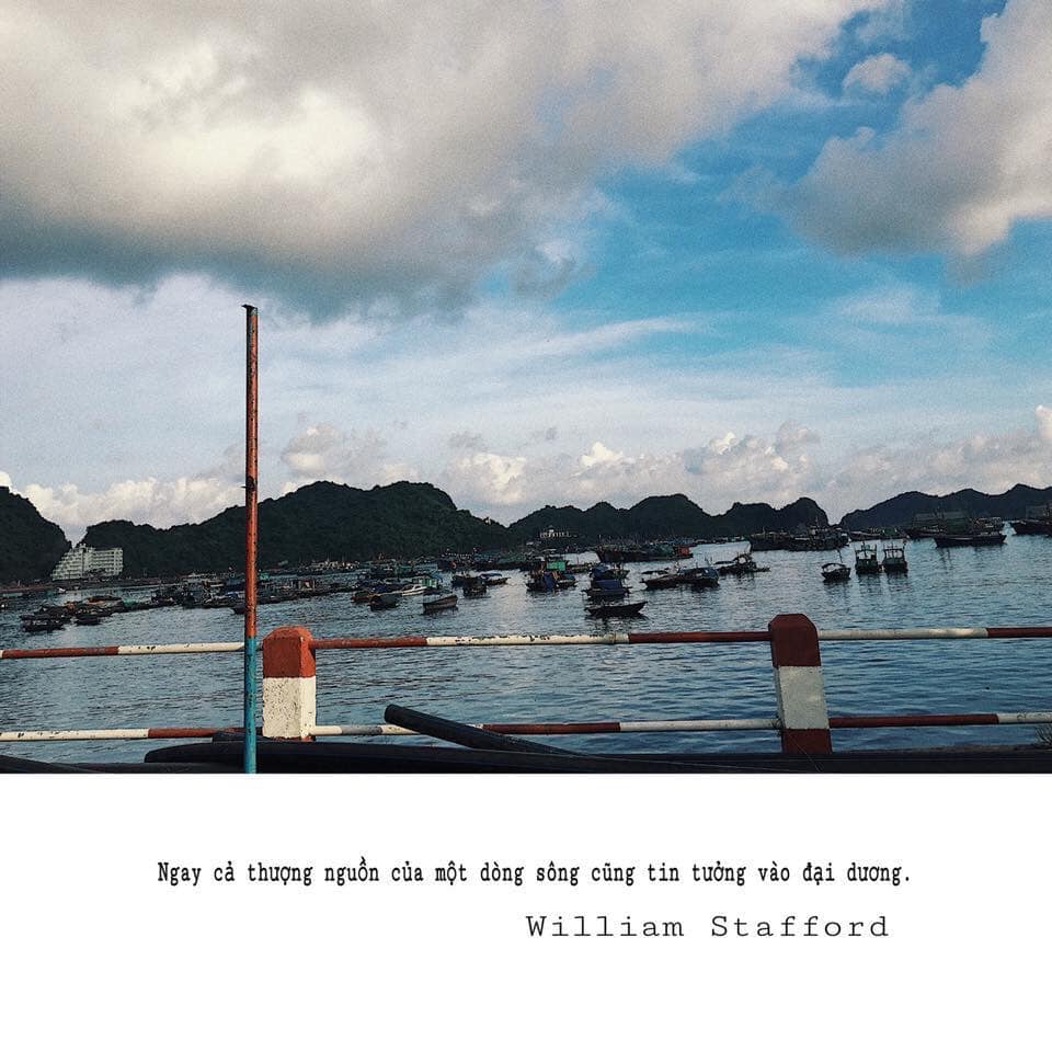 👉🏻👉🏻👉🏻Góc CHI PHÍ: - Ảnh 3