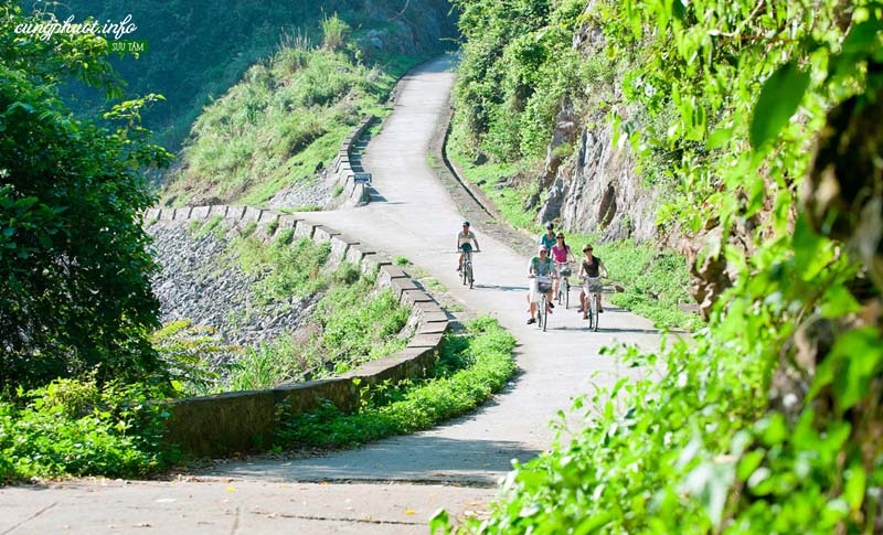 Vi Vu Cát Bà - Ảnh 3