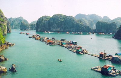 Đảo Cát Bà - "Nơi Giao Thoa Của Rừng Vàng Biển Bạc" Đảo Cát Bà - "Nơi Giao Thoa Của Rừng Vàng Biển Bạc"