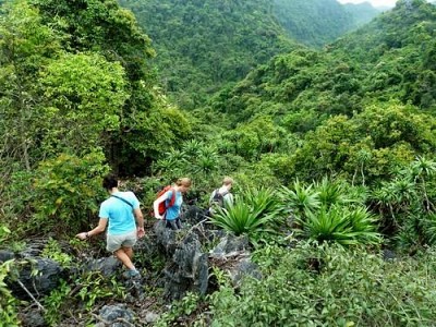 Khách Nước Ngoài Chia Sẻ Những Trải Nghiệm Độc Đáo Ở Cát Bà Khách Nước Ngoài Chia Sẻ Những Trải Nghiệm Độc Đáo Ở Cát Bà