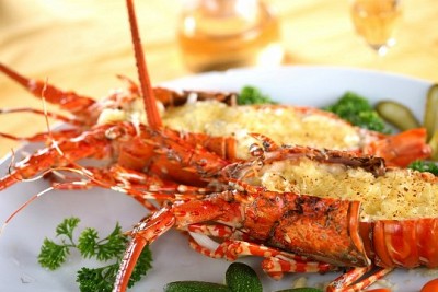 Những Món Ngón Khó Cưỡng Khi Đi Du Lịch Cát Bà (P1) Những Món Ngón Khó Cưỡng Khi Đi Du Lịch Cát Bà (P1)