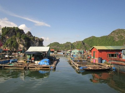 Những Trải Nghiệm Khó Quên Khi Du Lịch Cát Bà Những Trải Nghiệm Khó Quên Khi Du Lịch Cát Bà