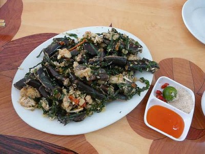 Sam Biển Cát Bà Sam Biển Cát Bà