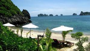 hành trình Cát Bà 3 Ngày 2 Đêm Khởi Hành Ngày 31/7