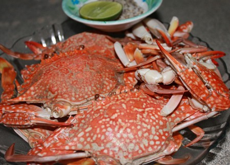 Ghẹ Biển Cát Bà