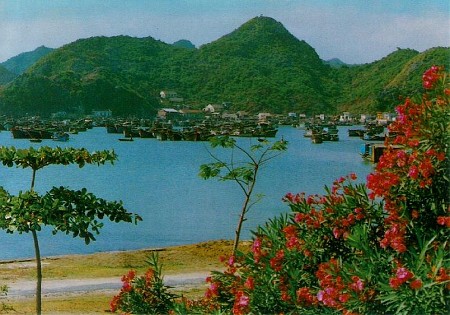 Hà Nội - Phà Đình Vũ - Cát Bà Hà Nội - Phà Đình Vũ - Cát Bà