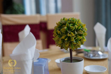 Khách Sạn Thành Công Cát Bà 3 Sao