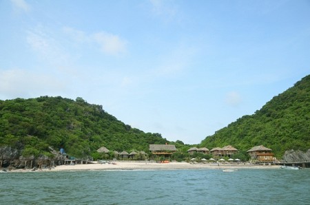 Monkey Island Resort