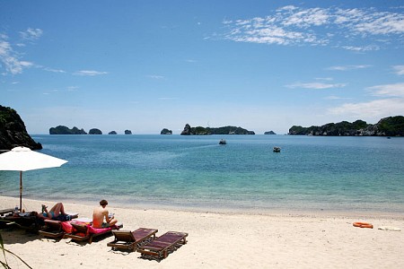 Monkey Island Resort