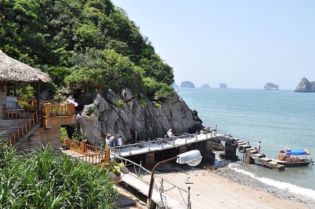 Monkey Island Resort