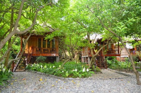 Monkey Island Resort