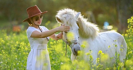 Thung lũng hoa Cát Bà khiến giới trẻ ‘’mê mẩn’’ Thung lũng hoa Cát Bà khiến giới trẻ ‘’mê mẩn’’