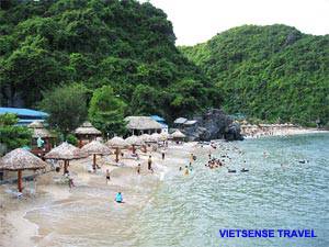 Hà Nội - Hạ Long - Đảo Cát Bà |  3 Ngày 2 Đêm