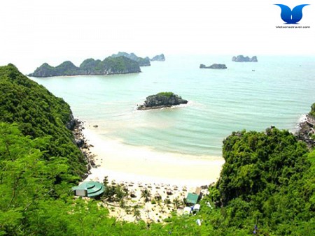 Hà Nội - Bến Bính - Cát Bà | 3 Ngày 2 Đêm Hè 2025