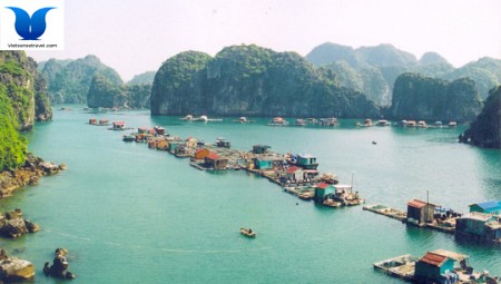 Hà Nội - Bến Bính - Cát Bà | 3 Ngày 2 Đêm Hè 2025