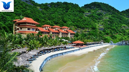 Hà Nội - Bến Bính - Cát Bà | 3 Ngày 2 Đêm Hè 2025