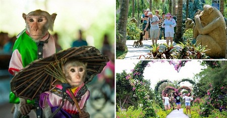 Trải Nghiệm - Vịnh Lan Hạ - Đảo Khỉ - Hang Tai Kéo - 3 Ngày