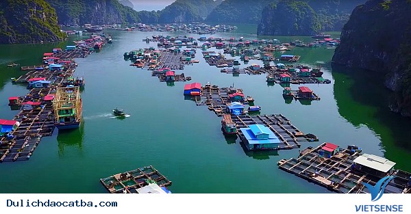 hành trình Cát Bà – Tạm xa cái nóng thành thị - Ảnh 6