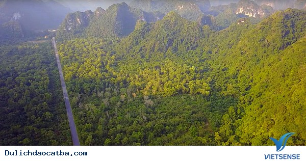 hành trình Cát Bà – Tạm xa cái nóng thành thị - Ảnh 4