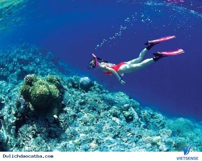 hành trình cát bà có gì hay - Ảnh 2