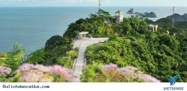 hành trình cát bà có gì hay - Ảnh 3