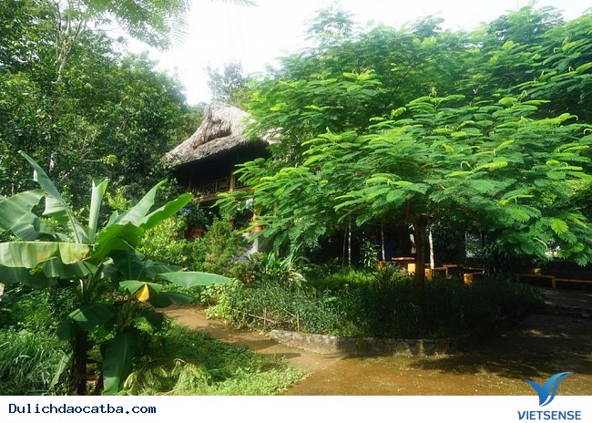 Vườn Quốc gia Cát Bà