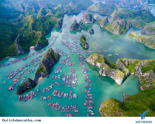 Tại sao nên chọn Cát Bà làm điểm đến cho kỳ nghỉ lễ 30/4 – 1/5 này - Ảnh 1 Tại sao nên chọn Cát Bà làm điểm đến cho kỳ nghỉ lễ 30/4 – 1/5 này - Ảnh 1