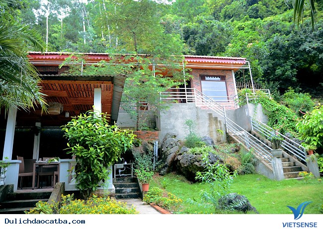 Little Cát Bà Homestay Little Cát Bà Homestay