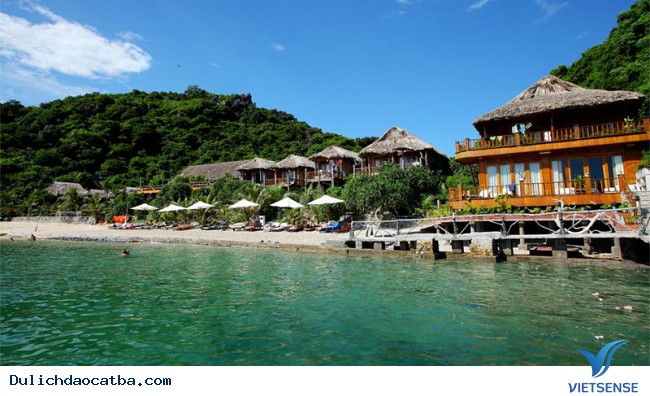 Đảo khỉ - Ảnh 1 Đảo khỉ - Ảnh 1