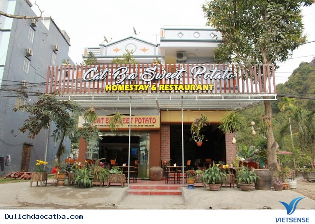 Top 7 Homestay đảo Cát bà phải check in khi đi thăm quan - Ảnh 5