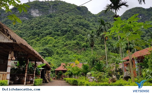 Top 7 Homestay đảo Cát bà phải check in khi đi thăm quan - Ảnh 4