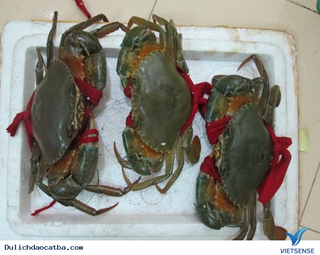 Bảo quản cua ghẹ tươi trên đường về nhà Bảo quản cua ghẹ tươi trên đường về nhà