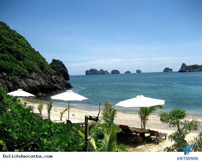 Cát Bà Thay Đổi Theo Chiều Hướng Nào Sau Bài Học Từ Hạ Long - Ảnh 4 Cát Bà Thay Đổi Theo Chiều Hướng Nào Sau Bài Học Từ Hạ Long - Ảnh 4