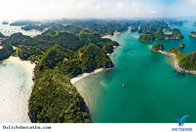 Cát Bà ở tỉnh nào? - Ảnh 3