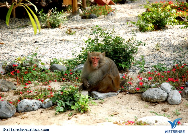 Địa hình Địa hình