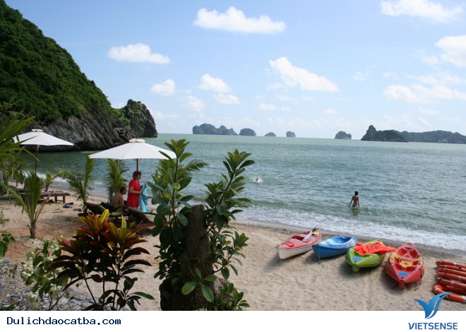 hành trình Cát Bà có gì trải nghiệm? - Ảnh 1 hành trình Cát Bà có gì trải nghiệm? - Ảnh 1