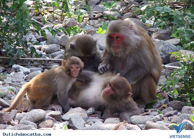 Những điều thú vị - Ảnh 4 Những điều thú vị - Ảnh 4