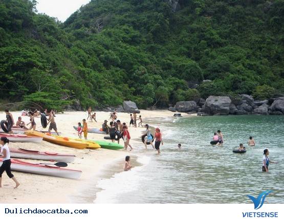 Những điều thú vị - Ảnh 1 Những điều thú vị - Ảnh 1