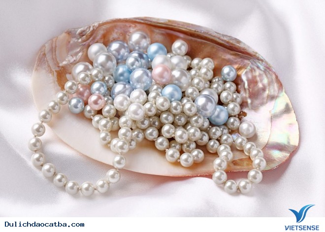 Điểm Nhấn hành trình Cát Bà - Ảnh 4