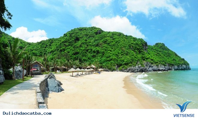 Cát Bà (Hải Phòng) – Hệ sinh thái biển đảo