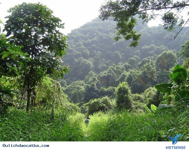 Hè Này Hãy Đến Với Đảo Cát Bà - Ảnh 2