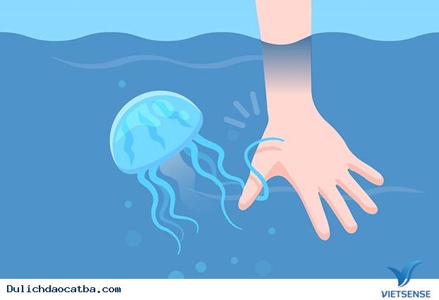 Làm Gì Khi Đi Biển Bị Sứa Đốt - Ảnh 3